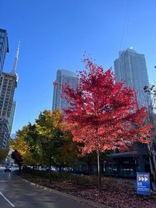 Spacious Condo With Awesome Lake View Toronto Exterior photo